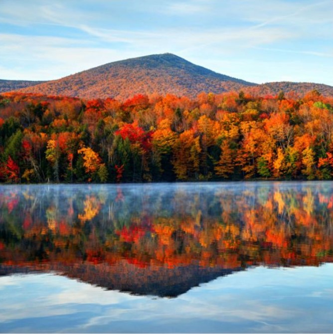Imagen de bosque antes de ser procesada.