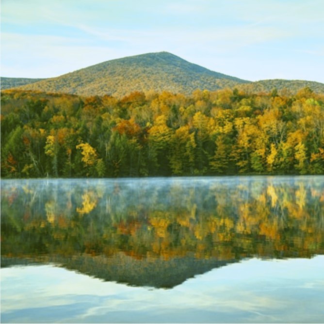 Imagen de bosque tras ser modificada y simulada.